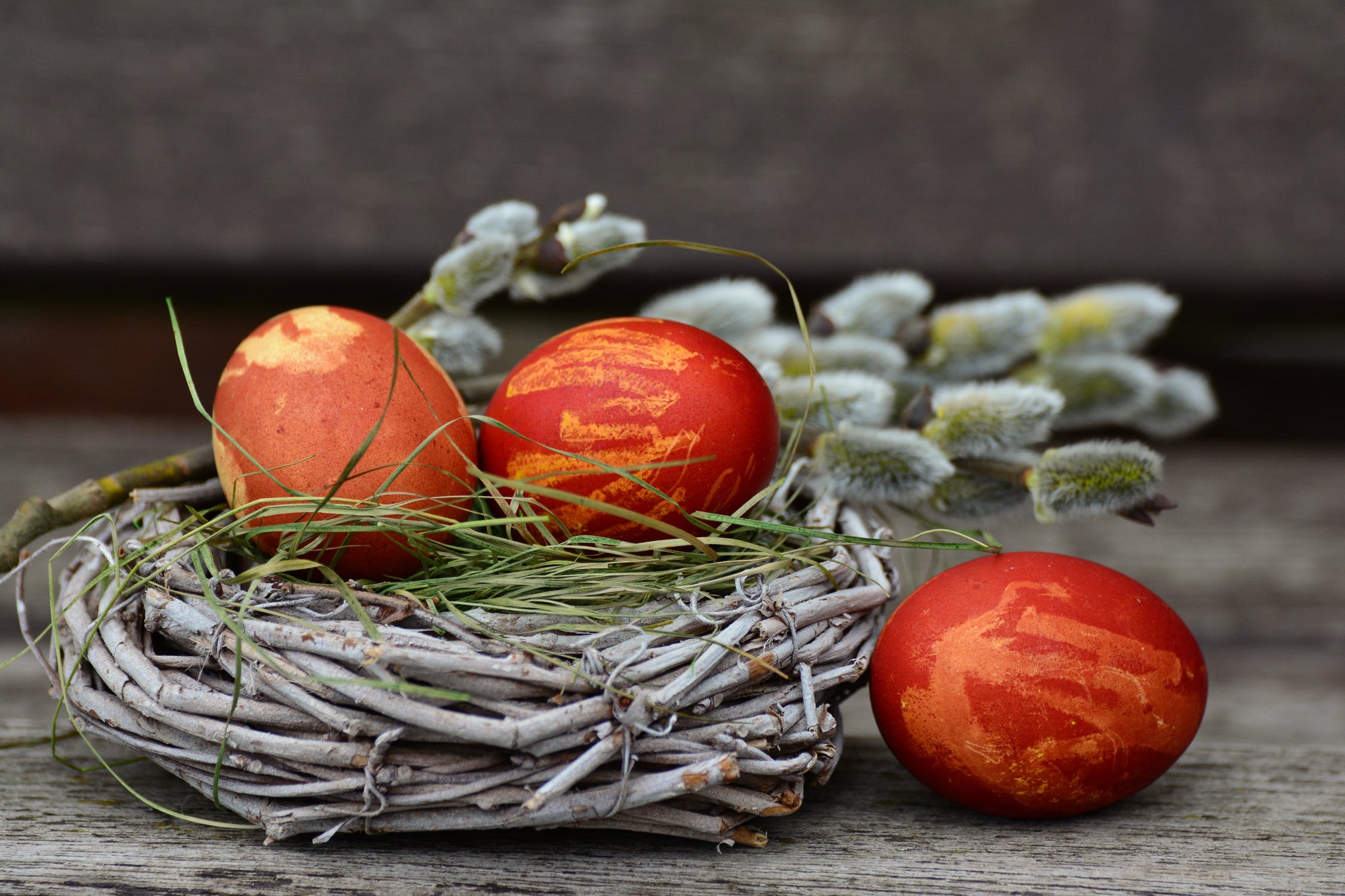 Buona Pasqua dallo staff del Polo AGRIFOOD