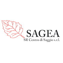 Sagea S.r.l.